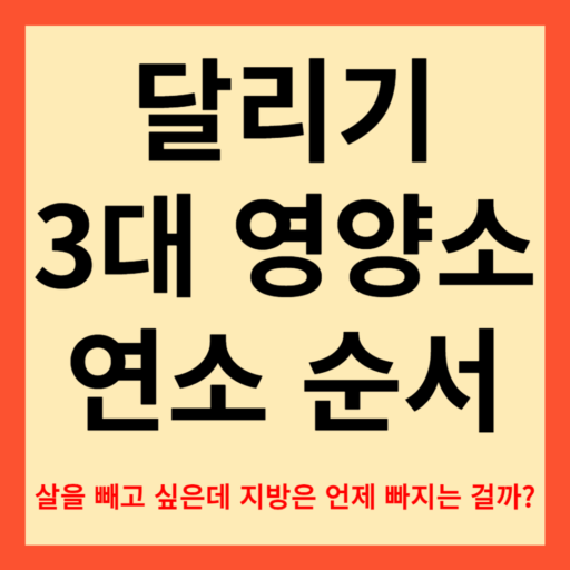 3대 영양소 연소 순서