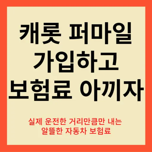 캐롯 퍼마일 자동차 보험 후기