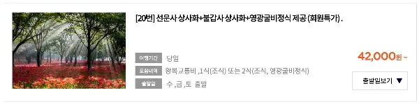 동백 여행사 당일 여행 선운사 불갑사