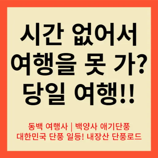 당일 내장산 단풍 코스 썸네일