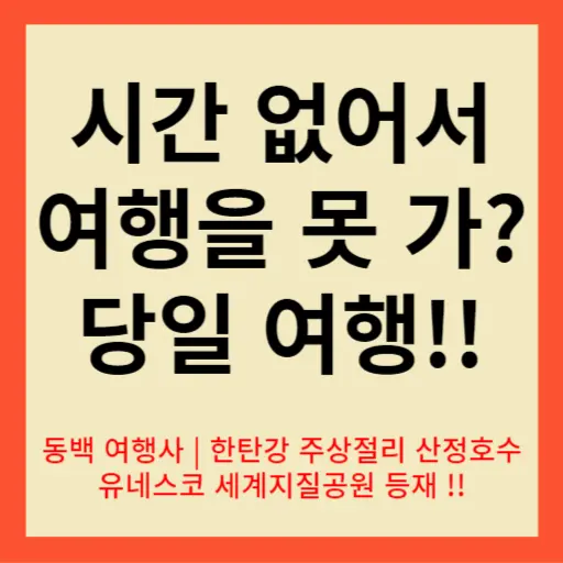 동백 여행사 당일 여행