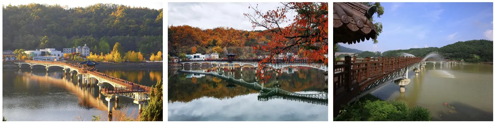 동백 여행사 당일 여행 안동 월영교