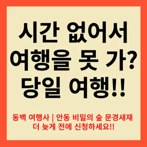 동백 여행사 안동 비밀의 숲 문경새재