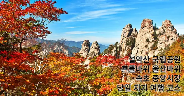 동백 여행사 당일 코스 설악산 국립공원