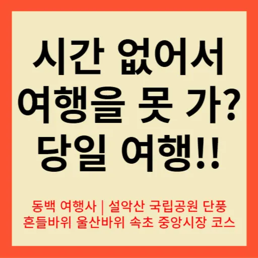 동백당일치기속초중앙시장썸