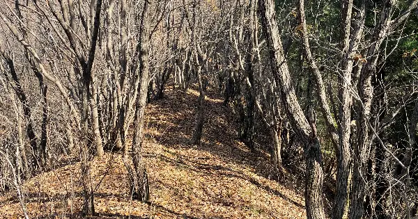 치악산 국립 공원 후기