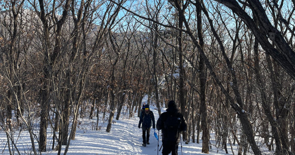 함백산 등산로5