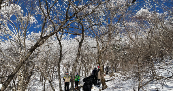 함백산 등산로11