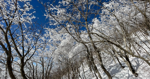 함백산 등산로12