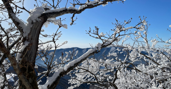 함백산 등산로16