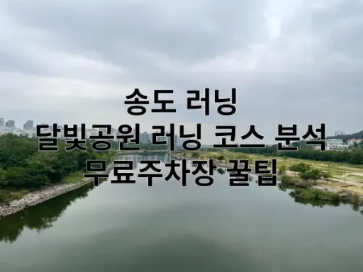 송도 러닝 달빛공원 러닝