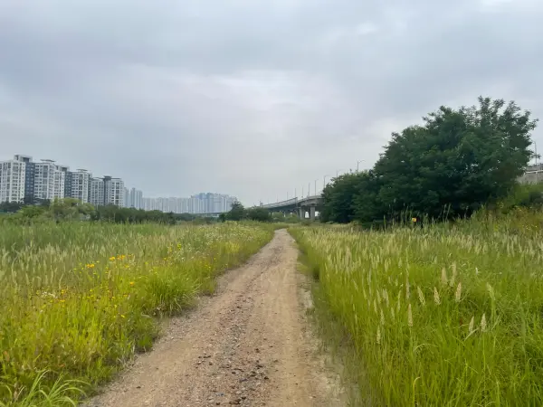 송도 러닝 달빛공원 러닝 코스3-2