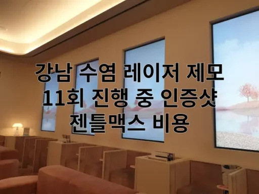 강남 수염 레이저 제모 11회 특성