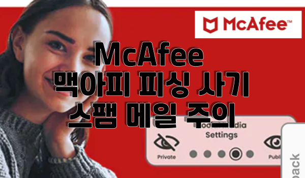 McAfee 맥아피 사기 특성