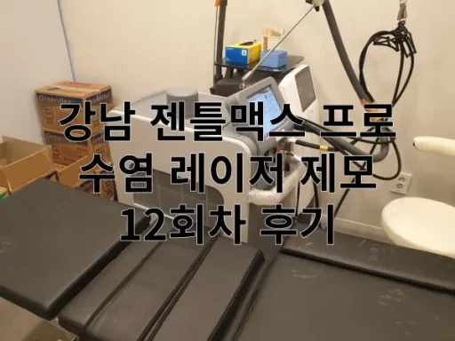 수염 레이저 제모 12회 특성