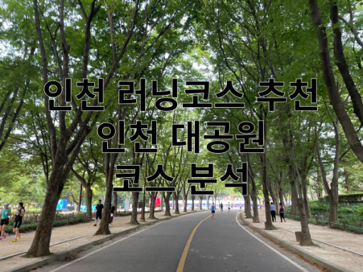 인천 대공원 러닝 특성