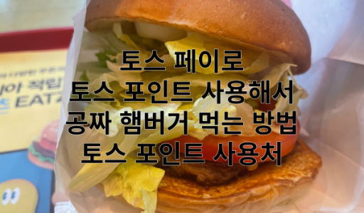 토스 페이 토스 포인트 특성