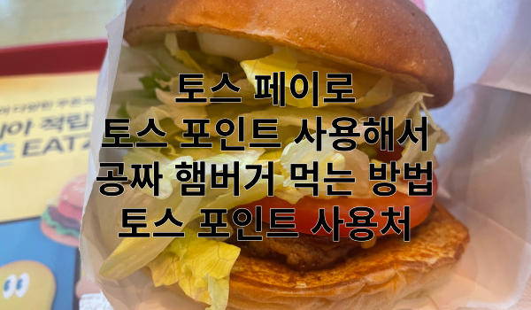 토스 페이 토스 포인트 특성