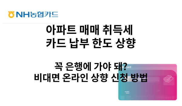 신용 카드 한도 상향 신청 취득세 무이자 할부 농협