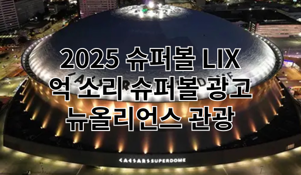 2025 슈퍼볼 광고 슈퍼볼 특성