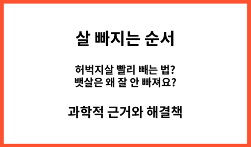 살 빠지는 순서 부위별 체지방 감소 특성