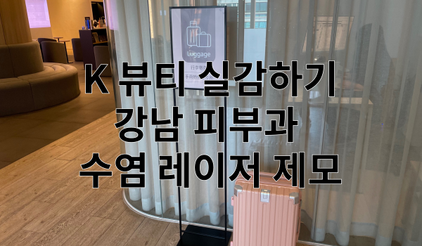 수염 레이저 제모 17회 특성