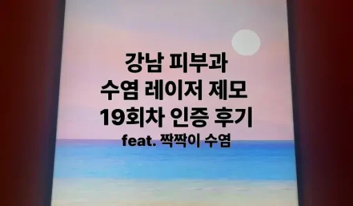 수염 레이저 제모 후기 19회