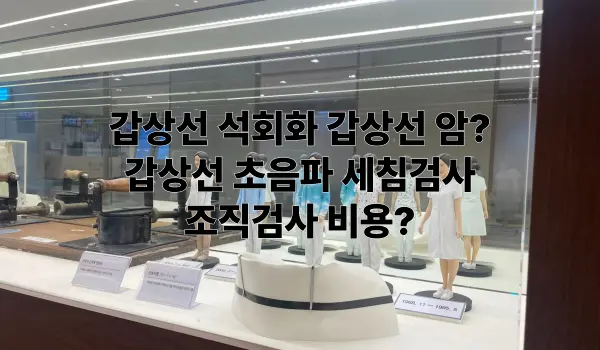 갑상선 석회화 갑상선 결절 초음파 세침시술