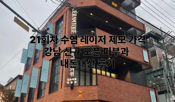 21회차 수염 레이저 제모 가격 특성