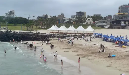 제주도 새벽 도착 함덕해수욕장 해변 카페