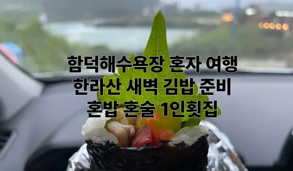 함덕해수욕장 혼자 여행 특성