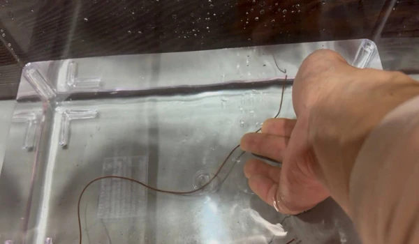 서울근교 아이체험 추천: 구리 521농업생태체험장 후기와 꿀팁 2 연가시 만지기 체험