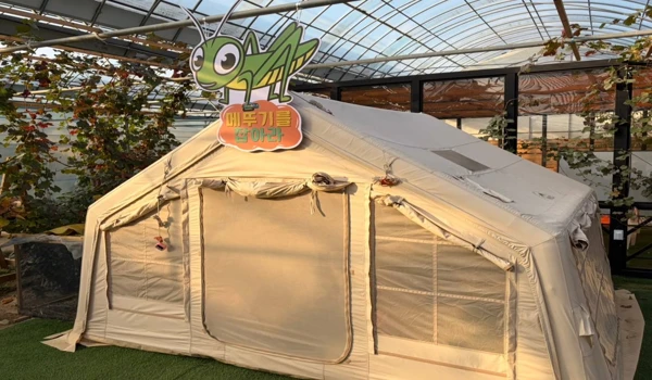 서울근교 아이체험 추천: 구리 521농업생태체험장 후기와 꿀팁 7 메뚜기 잡기체험장