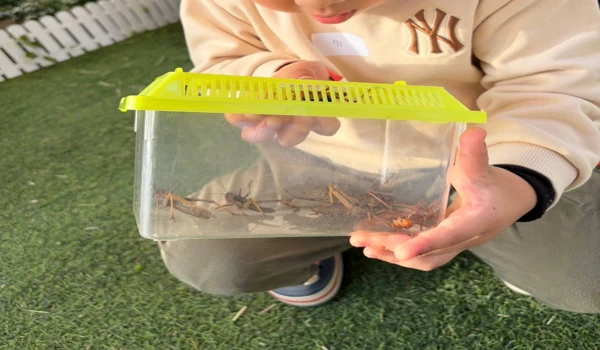 서울근교 아이체험 추천: 구리 521농업생태체험장 후기와 꿀팁 8 메뚜기 잡기체험