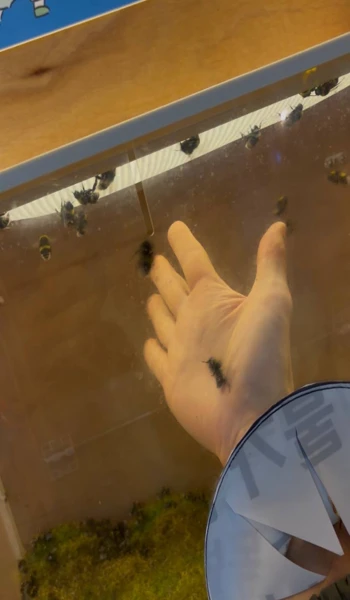 서울근교 아이체험 추천: 구리 521농업생태체험장 후기와 꿀팁 3 벌만지기 체험