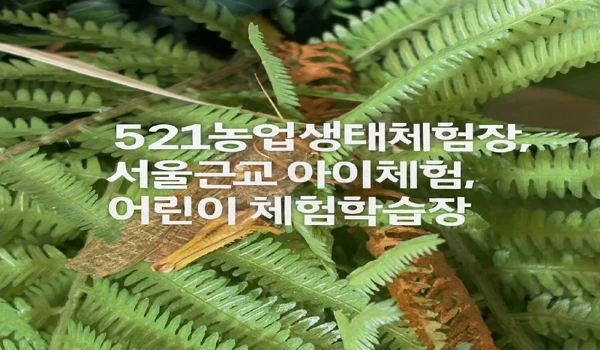 서울근교 아이체험 추천: 구리 521농업생태체험장 후기와 꿀팁 1 구리 521농업생태체험장 대표이미지