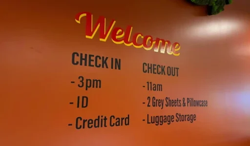 벤쿠버 나이트 러닝과 분위기 도심 속에서 달린 잊지 못할 밤 2025년 11월 2 세임선 벤쿠버