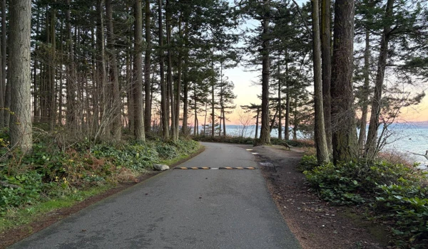 워싱턴 파크 루프 러닝 중 바다 풍경