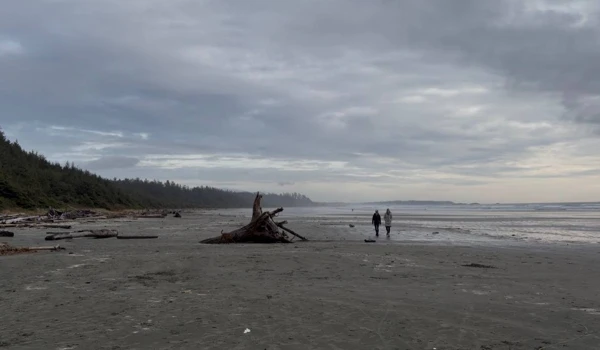 벤쿠버 아일랜드 자동차 여행 Cathedral Grove Long Beach 2025년 11월 14 Tofino Long Beach 전경