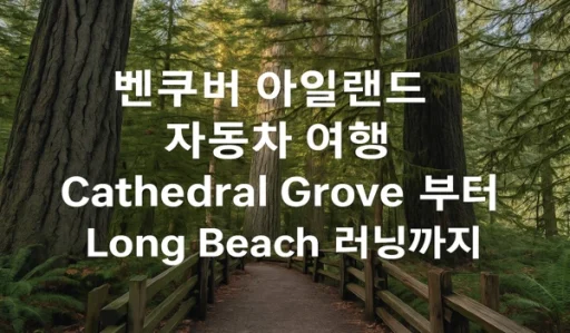 벤쿠버 아일랜드 자동차 여행