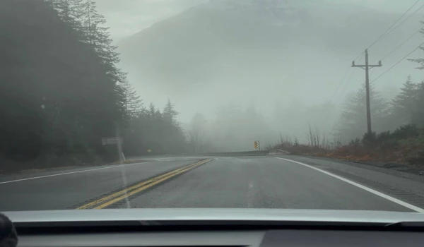 벤쿠버 아일랜드 자동차 여행 Cathedral Grove Long Beach 2025년 11월 4 벤쿠버 아일랜드 자동차 여행 중 안개 낀 도로