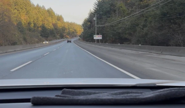 벤쿠버 아일랜드 자동차 여행 Cathedral Grove Long Beach 2025년 11월 2 벤쿠버 아일랜드 자동차 여행 도로 풍경