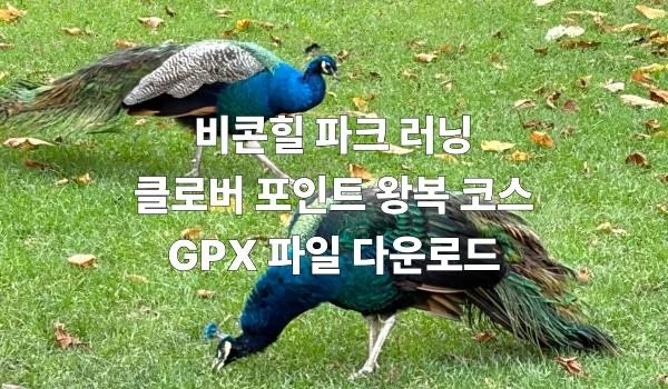 비콘힐 파크 러닝