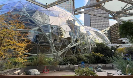 시애틀 아마존 스피어스1